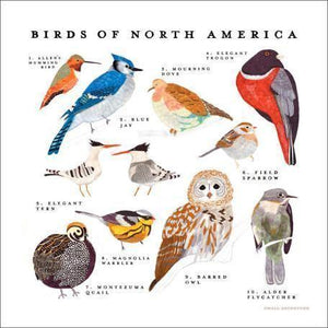 Birds of North America | Canvas Wall Art-Canvas Wall Art-Jack and Jill Boutique