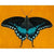 Black Swallowtail Butterfly | Canvas Wall Art-Canvas Wall Art-Jack and Jill Boutique