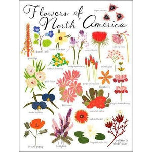 Flowers of North America | Canvas Wall Art-Canvas Wall Art-Jack and Jill Boutique