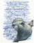 Shibori and Marine Mammals - Well Hello There Wall Art-Wall Art-Jack and Jill Boutique
