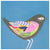 Slate Junco Bird Wall Art-Wall Art-21x21 Canvas-Jack and Jill Boutique
