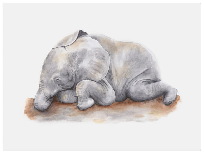 Sleeping Animal Portraits - Baby Elephant Wall Art-Wall Art-Jack and Jill Boutique