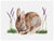 Sleeping Animal Portraits - Baby Rabbit Wall Art-Wall Art-Jack and Jill Boutique
