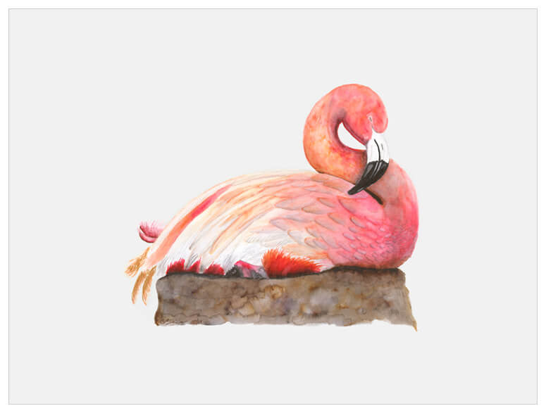 Sleeping Baby Flamingo Wall Art-Wall Art-Jack and Jill Boutique