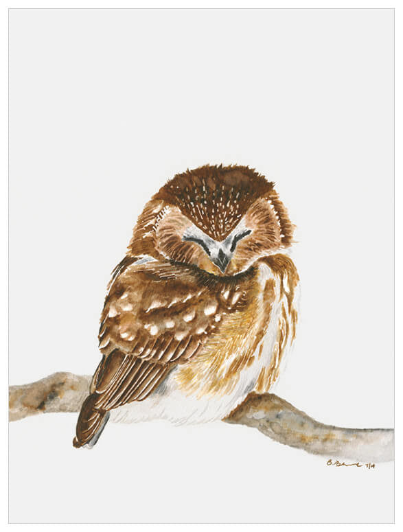 Sleeping Baby Owl Wall Art-Wall Art-Jack and Jill Boutique