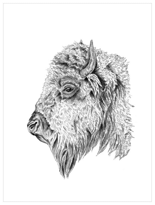 The Bison's Good Side Wall Art-Wall Art-Jack and Jill Boutique