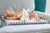 Most important items for a newborn baby