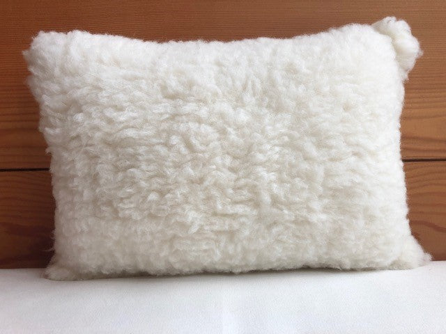 Child's First Pillow, Happy Lamb Fleece by Holy Lamb Organics