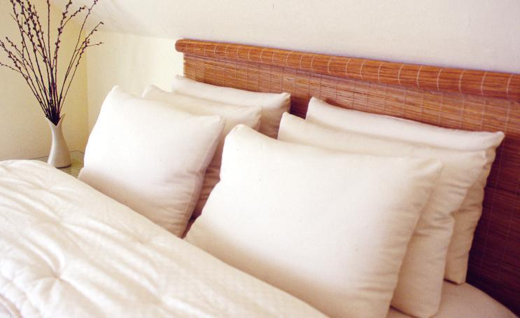 All-Natural Wool Bed Pillow by Holy Lamb Organics – view 5