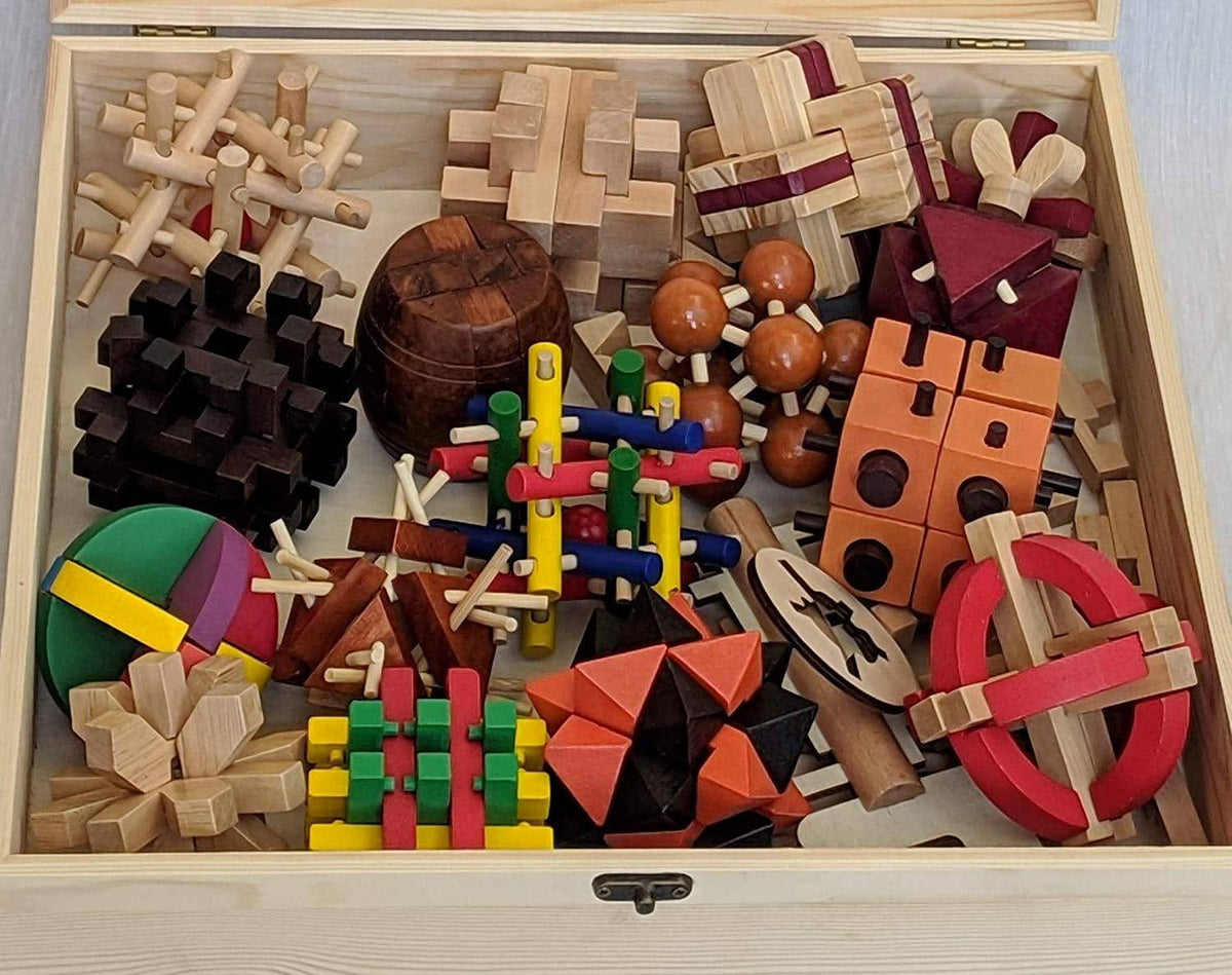 20-in-One Brain Teaser Wooden Puzzle Set for Toddlers to Adults-Wood Puzzle-Jack and Jill Boutique