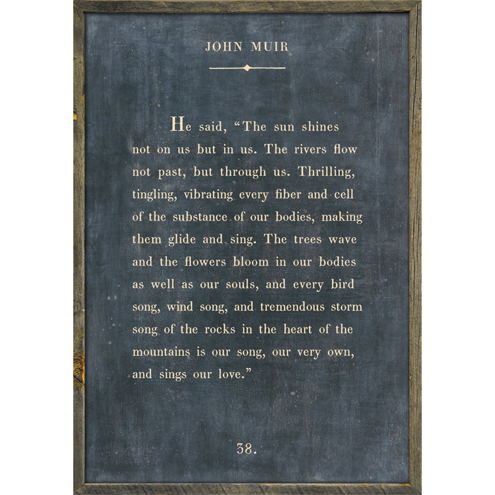 John Muir - Book Collection Art Print-Art Print-17" x 25"-Charcoal-Grey Wood Frame-Jack and Jill Boutique