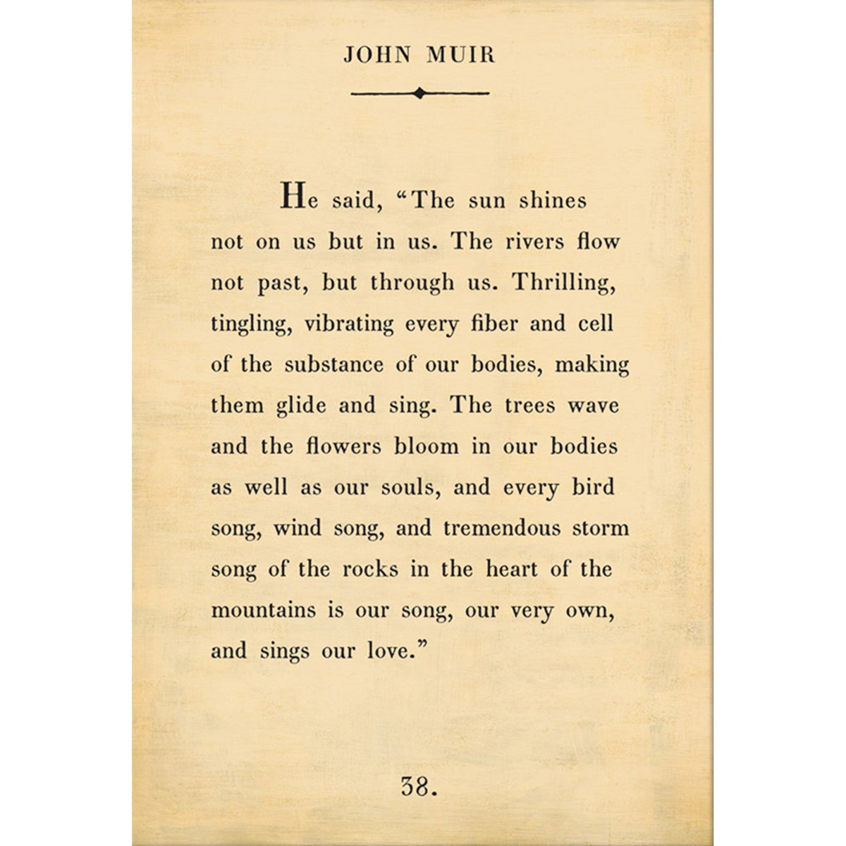 John Muir - Book Collection Art Print-Art Print-Jack and Jill Boutique