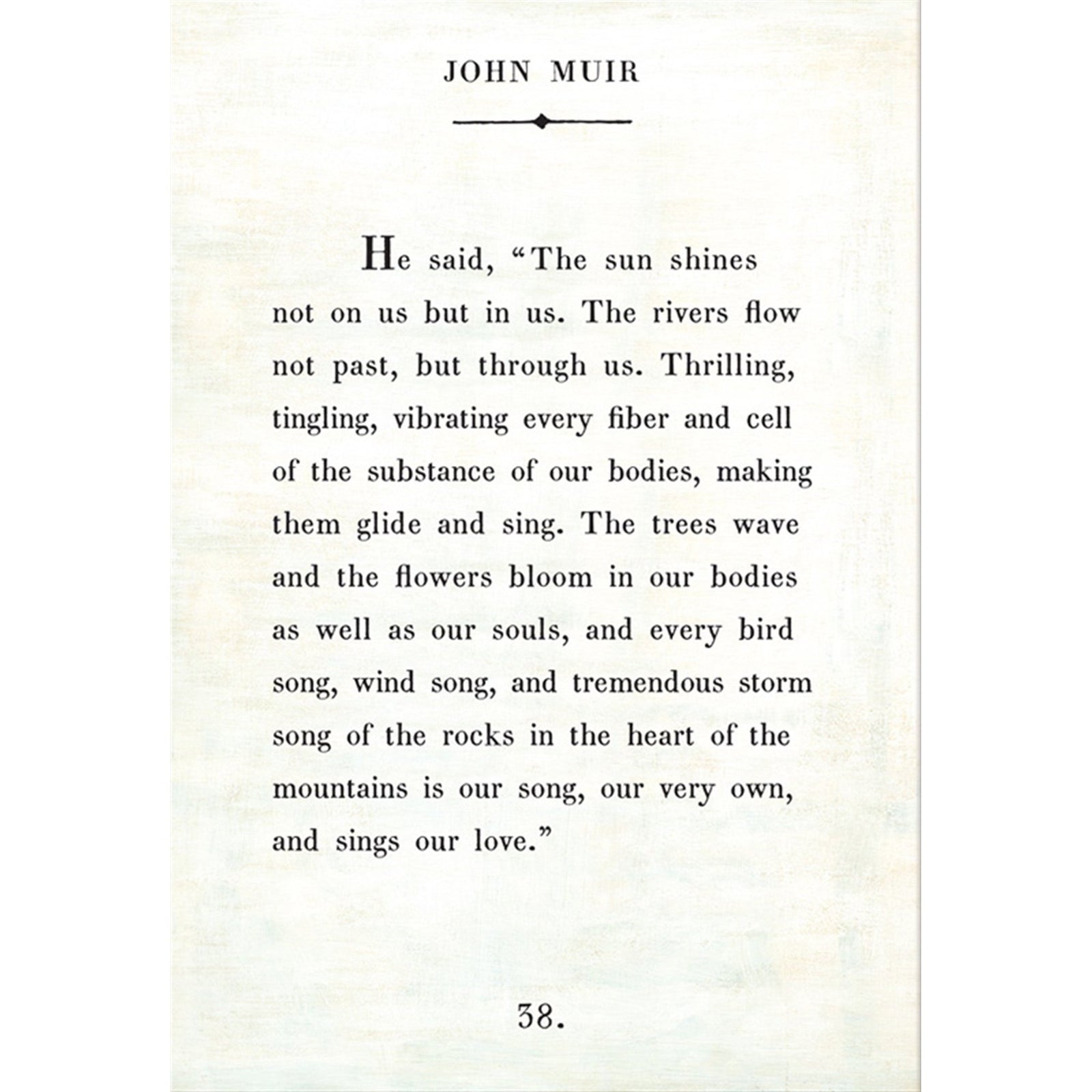 John Muir - Book Collection Art Print-Art Print-17" x 25"-White-Gallery Wrap-Jack and Jill Boutique