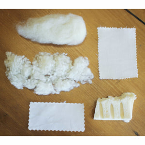 Holy Lamb Organics | Sample/ Material Sensitivity Kits-Product Sample-Jack and Jill Boutique