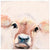 Adored Cow Wall Art-Wall Art-Jack and Jill Boutique