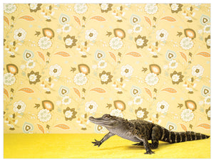 Alligator On Yellow Wall Art-Wall Art-Jack and Jill Boutique
