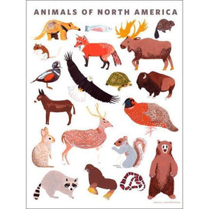 Animals of North America | Canvas Wall Art-Canvas Wall Art-Jack and Jill Boutique