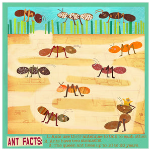 Ants Wall Art-Wall Art-18x18 Canvas-Jack and Jill Boutique