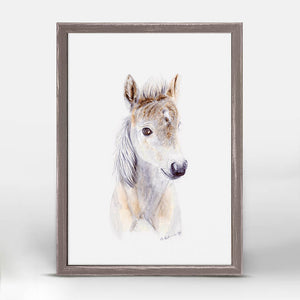 Baby Horse Portrait - Mini Framed Canvas-Mini Framed Canvas-Jack and Jill Boutique