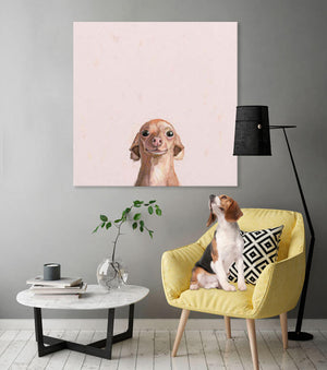 Best Friend - Wide Eyed Chihuahua Wall Art-Wall Art-Jack and Jill Boutique