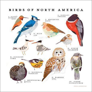 Birds of North America | Canvas Wall Art-Canvas Wall Art-Jack and Jill Boutique