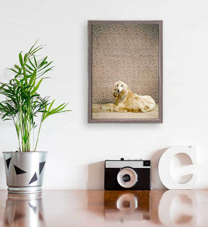 Dog Collection - Afghan Hound Mini Framed Canvas-Mini Framed Canvas-Jack and Jill Boutique