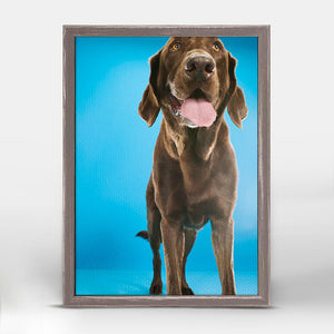 Dog Collection - Chocolate Lab On Blue Mini Framed Canvas-Mini Framed Canvas-Jack and Jill Boutique