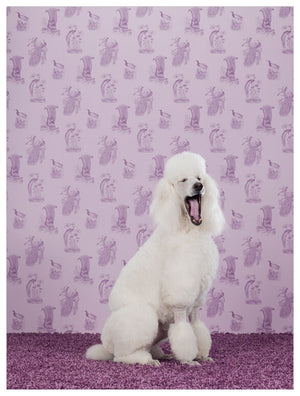 Dog Collection - Poodle Wall Art-Wall Art-Jack and Jill Boutique
