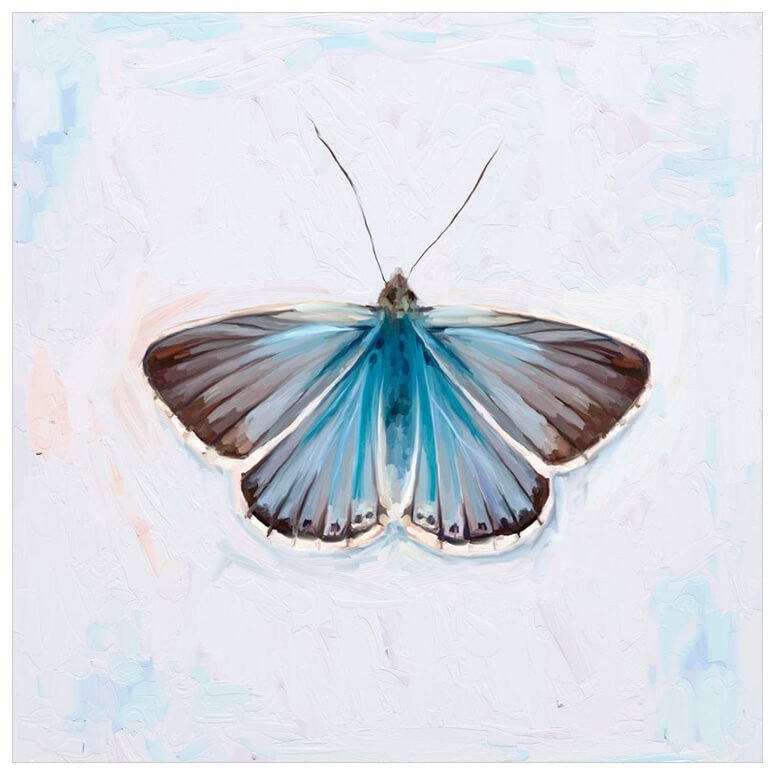 Dreaming In Blue - Butterfly 2 Wall Art-Wall Art-Jack and Jill Boutique