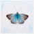 Dreaming In Blue - Butterfly 2 Wall Art-Wall Art-Jack and Jill Boutique