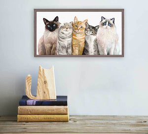 Feline Friends - Cat Bunch Mini Framed Canvas-Mini Framed Canvas-Jack and Jill Boutique