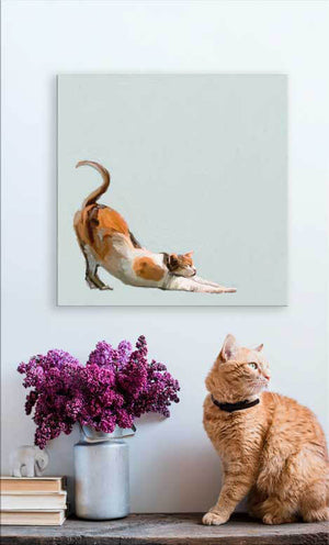Feline Friends - Stretchy Calico Wall Art-Wall Art-Jack and Jill Boutique