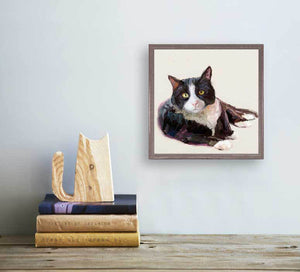 Feline Friends - Tuxedo Cat Mini Framed Canvas-Mini Framed Canvas-Jack and Jill Boutique