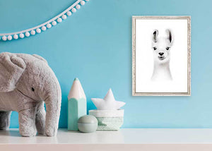 Fluffy Faces - Llama Mini Framed Canvas-Mini Framed Canvas-Jack and Jill Boutique