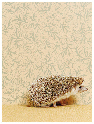 Hedgehog On Soft Yellow Wall Art-Wall Art-Jack and Jill Boutique