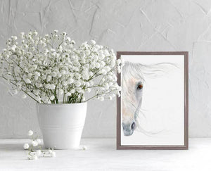 Horse Portrait 1 - Mini Framed Canvas-Mini Framed Canvas-Jack and Jill Boutique
