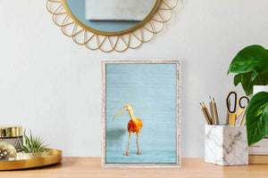 Ibis On Blue - Mini Framed Canvas-Mini Framed Canvas-Jack and Jill Boutique