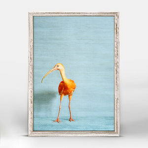 Ibis On Blue - Mini Framed Canvas-Mini Framed Canvas-Jack and Jill Boutique