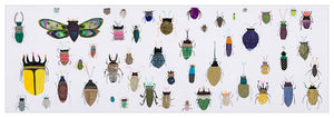 Insect Friends - Detail Wall Art-Wall Art-36x12 Canvas-Jack and Jill Boutique