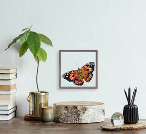 Kamehameha Butterfly - Mini Framed Canvas-Mini Framed Canvas-Jack and Jill Boutique