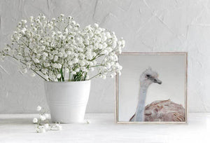 Little Ostrich Portrait - Mini Framed Canvas-Mini Framed Canvas-Jack and Jill Boutique