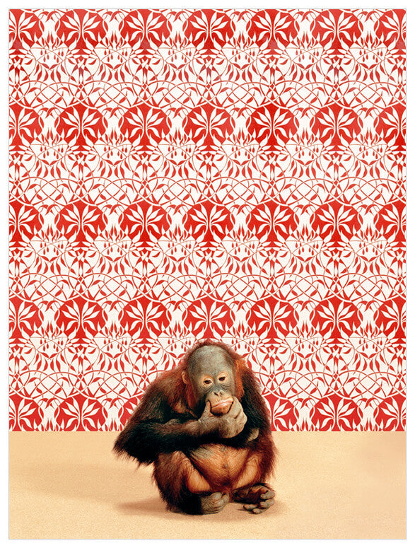 Orangutan On Red & White Wall Art-Wall Art-Jack and Jill Boutique