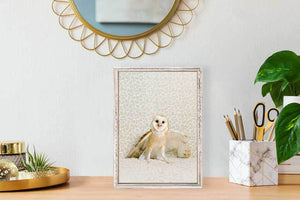 Owl On Neutral - Mini Framed Canvas-Mini Framed Canvas-Jack and Jill Boutique