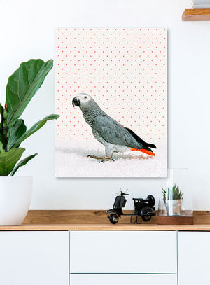 Parrot on White Wall Art-Wall Art-Jack and Jill Boutique