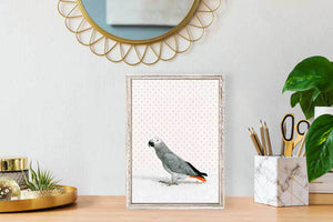 Parrot on White - Mini Framed Canvas-Mini Framed Canvas-Jack and Jill Boutique