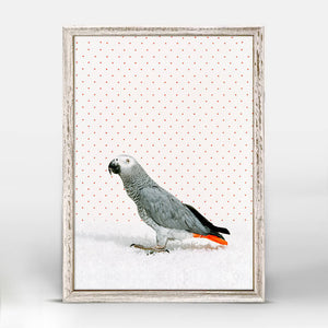 Parrot on White - Mini Framed Canvas-Mini Framed Canvas-Jack and Jill Boutique