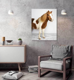 Petite Ponies - Bailey Wall Art-Wall Art-Jack and Jill Boutique
