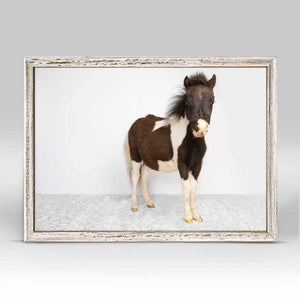 Petite Ponies - Luna Mini Framed Canvas-Mini Framed Canvas-Jack and Jill Boutique