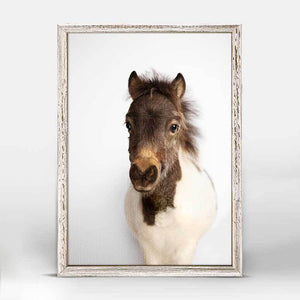 Petite Ponies - Oreo's Close Up Mini Framed Canvas-Mini Framed Canvas-Jack and Jill Boutique