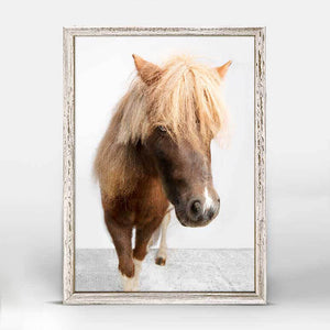 Petite Ponies - Sebastian Mini Framed Canvas-Mini Framed Canvas-Jack and Jill Boutique